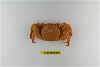 藏品(鱗形斜紋蟹)的圖片